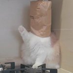[댓글부탁해] 나만줌으로<b>수업</b>할때폰으로찍음..?