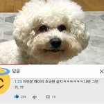 [댓글부탁해] 걱정이! 넘만아서 걱정잉