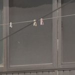 [추반부탁행] 너네 연애 스타일 이중뭐냐 추반좀