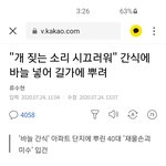 [꼭조언부탁] 개간식에 <b>바늘</b> 이거 진짜였네요....?