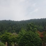 [드루와] 진짜 <b>쌍수</b> 다들 착각하는게