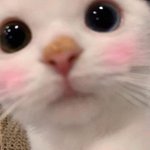 [댓글부탁해] 줄임말 잘아는사람?