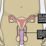 [이것좀봐줘] 남사친이 <b>소변</b> 보다가 피 나와서 병원 갔다왔다는데
