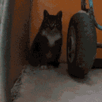 [모두드루와] 떴으면 하는 <b>인디</b>가수, 아이돌 한 명씩 적고 가자...