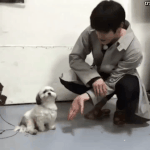 [NCT] 이태용이 근데 이게 말이 됨?