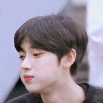 아이랜드 투표 한 애들 있냐??