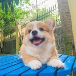 공주 너무 졸려 공주 <b>자러감</b>