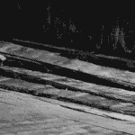 다음 놀면 뭐하니 <b>일본</b> 영화<b>배우</b>?