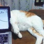 생리때는 많이먹지마셈
