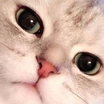 [댓글부탁해] 나 좀 제발 도와줘