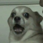 무슨 새벽부터 <b>농구</b>를 하고 ㅈㄹ이야