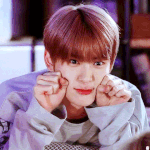 [NCT] 영상 출처를 밝혀라! (재현)