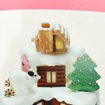 엑소 베라 모델할땐 이거였음