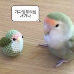 [댓글부탁해] 짝남이랑 스카왔는데