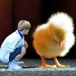 [방탄소년단] 우리 친구 맞지?