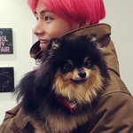 [방탄소년단] 멍뭉이 보니까