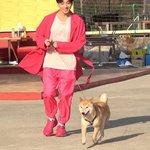 [방탄소년단] 정<b>구기</b>랑 강아지 표정ㅋㅋㅋ