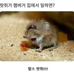 [방탄소년단] 이삐들! 우리 귀여운 탄이들 보고 받은 힘으로
