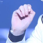 [속보] 세훈 고양이설 사실인걸로 확정