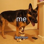 오늘 새벽에 백현 버블 왔던거