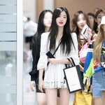 짤 <b>수진</b>
