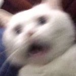 [댓글부탁해] <b>청순</b>립 추천해주면 짝<b>남</b>이랑 잘됨