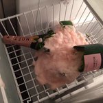 [댓글부탁해] 얘들아 흰색 <b>쪼그만</b> 벌레 백퍼 새끼바퀴냐?