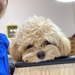 [드루와] 내 친구 ㅈㄴ <b>놀러</b>다니는데 한심해보여