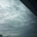 [NCT] ㅅㄷ <b>지성</b>이가 구름 짱 이쁘다는데
