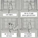 [드루와] <b>독서실</b> 다니는 애드라