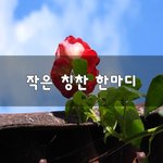 [좋은생각] 작은 <b>칭찬</b> 한마디~
