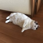 얘들아 너희 탈<b>덕</b>하면 아예 관심 끔??