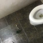 [19] <b>무척</b> 떨린다