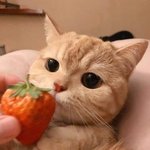 말 잘 <b>이어</b>나가는 사람 ㅈㅂㅜㅜ