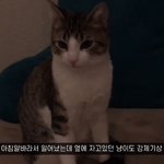 [댓글부탁해] <b>수퍼</b>비처럼