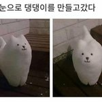 얘들아 고3 <b>졸사</b> 꼭 찍어야 해?