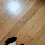 나 발 되게 하얗지 않냐