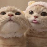 [급해] 이 사진 <b>좌우</b>반전 해줄 ㅅㅏ람 ㅠㅠㅜ
