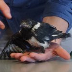 [<b>19</b>] 4탄) 남자 꼬시는 팁....이 아니라 해외 <b>썰</b> (옛날...