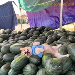 [EXO] 보와 좋겠다