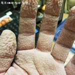 사람이 한 <b>요상</b>한 실험들ㅋㅋ