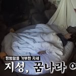 [NCT] <b>지성</b>이 왜 저러고 자ㅠㅠ