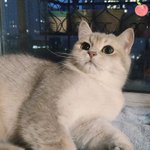 저녁밥 머 먹을꽈아아앙우어ㅏㄱ꺗솪 쉬브아루내잋 수학 어떠<b>카노</b>