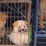 [드루와] <b>토모</b>토모 오늘 올라온 영상에서