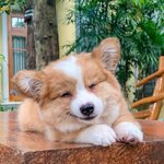 ;( 이거 되게아이라인 잘못그려서 <b>화난</b>느낌