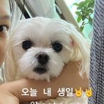 얘드라 오늘 누구 생일이게