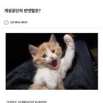 [댓글부탁해] <b>입시</b> 관련 궁금한 사람 다 물어봐