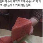 [NCT] 약ㅅㄷ 마크한테 이거 주면 완전 좋아하겠다