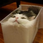 [드루와] ►►►전격 시험대비 기출사이트 4개◄◄◄(하이퍼링크)