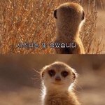 킹두<b>글자</b>로 어그로좀 끌지마